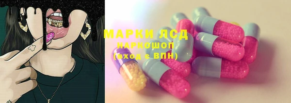амф Магас