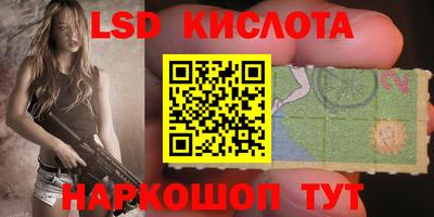 apvp Гусев