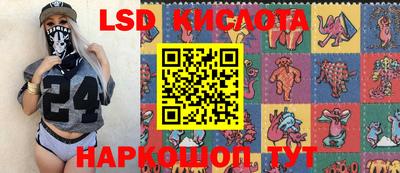 apvp Гусев