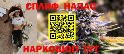 apvp Гусев