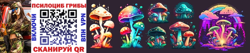 Псилоцибиновые грибы Psilocybine cubensis  Мичуринск 