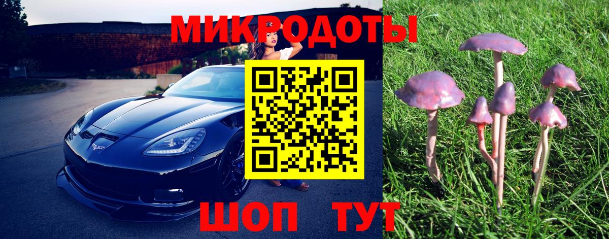 Псилоцибиновые грибы Psilocybine cubensis  Вход с VPN  Мичуринск 